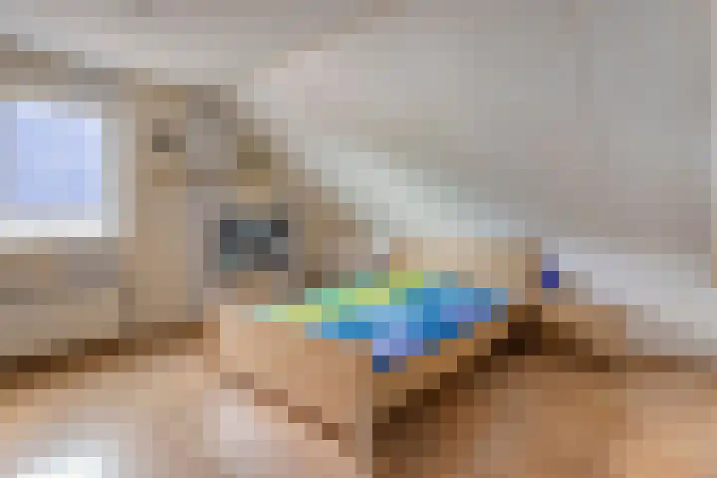 Krusestraat 1 Mariënheem thumbnail 40