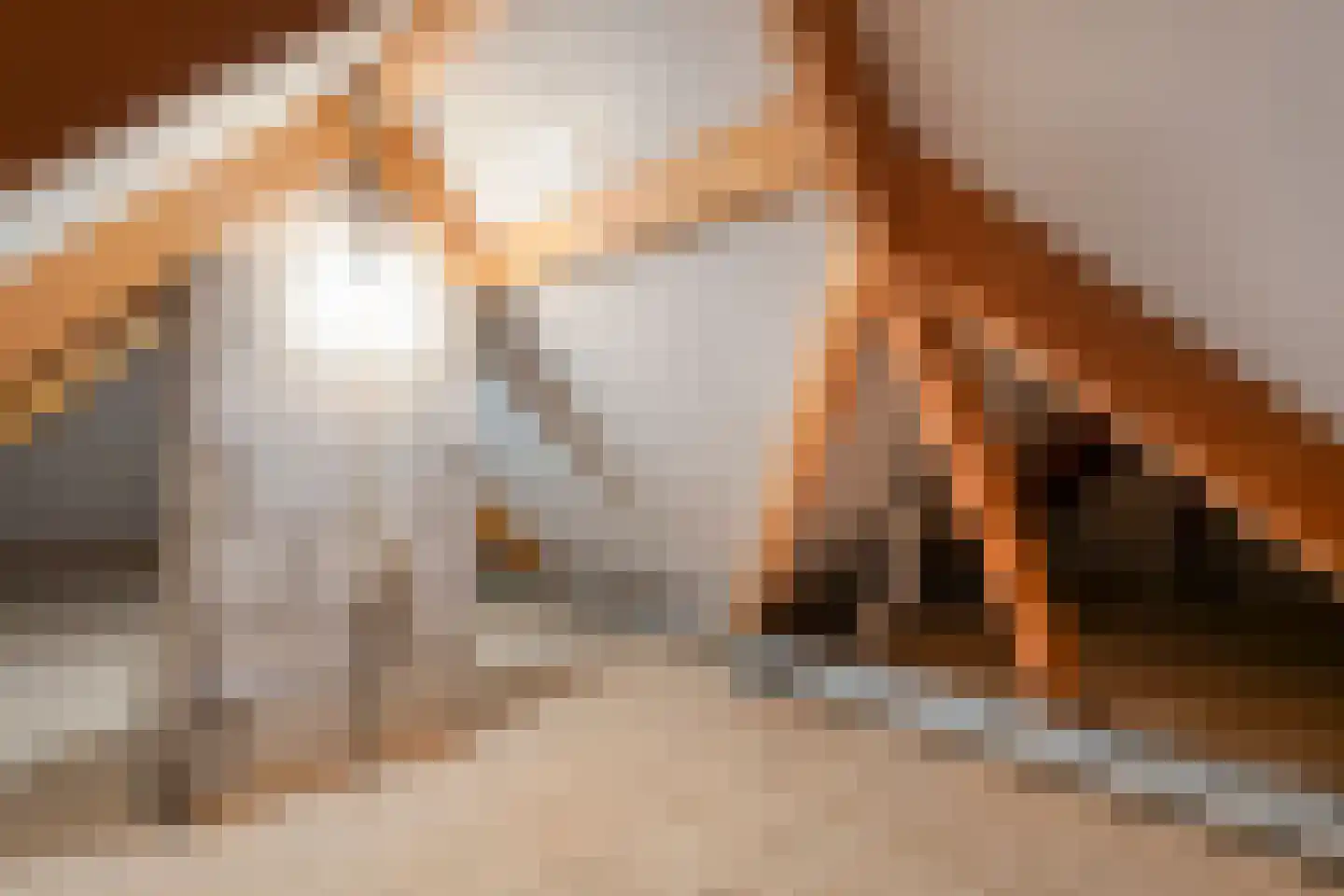 Krusestraat 1 Mariënheem thumbnail 50