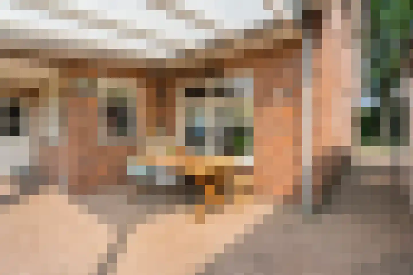 Krusestraat 1 Mariënheem thumbnail 60
