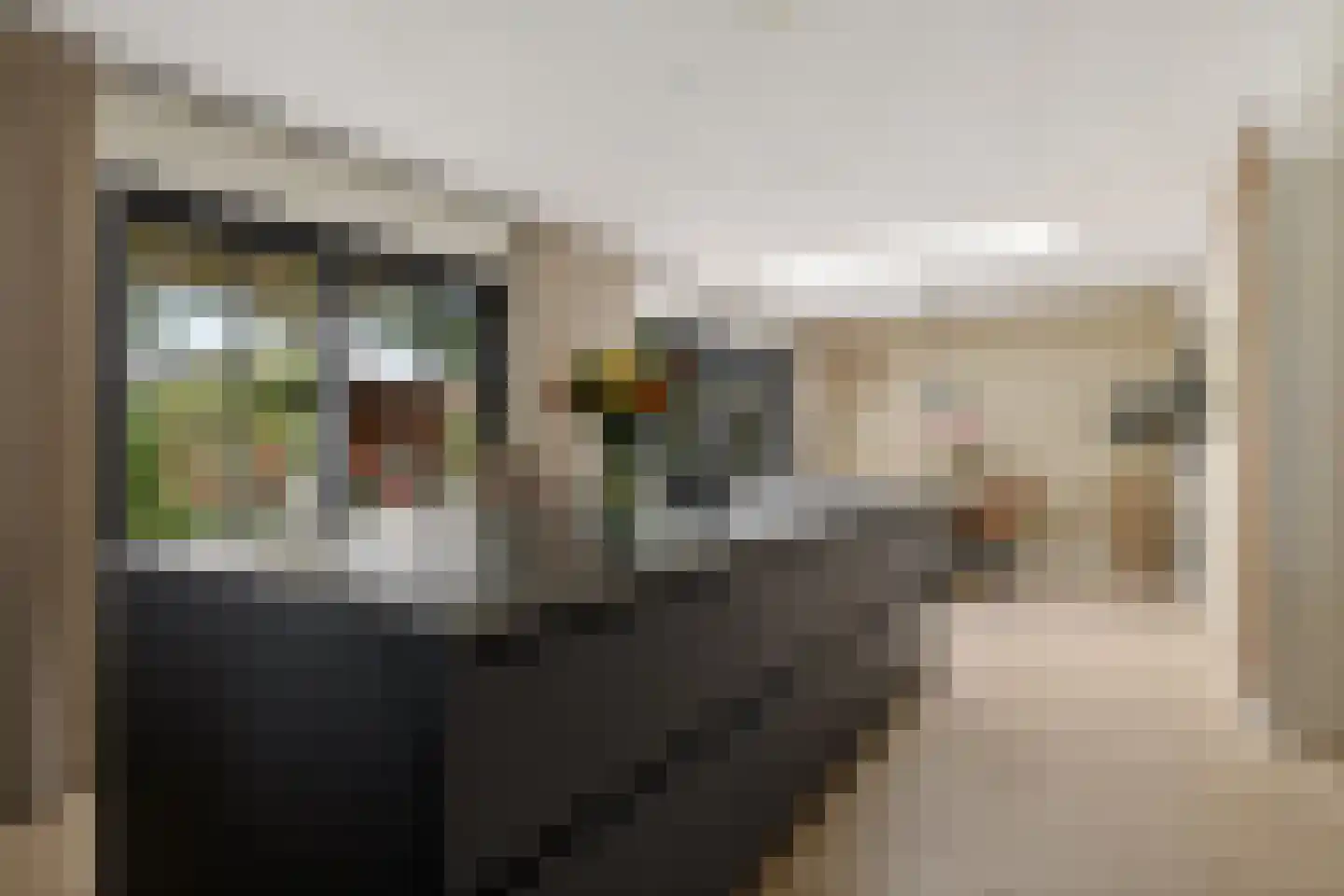 Krúslings 19 Ureterp thumbnail 13
