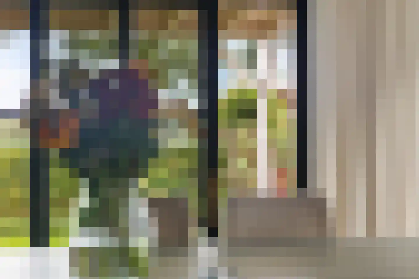Krúslings 19 Ureterp thumbnail 16