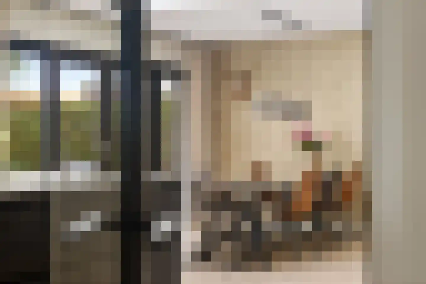 Krúslings 19 Ureterp thumbnail 18