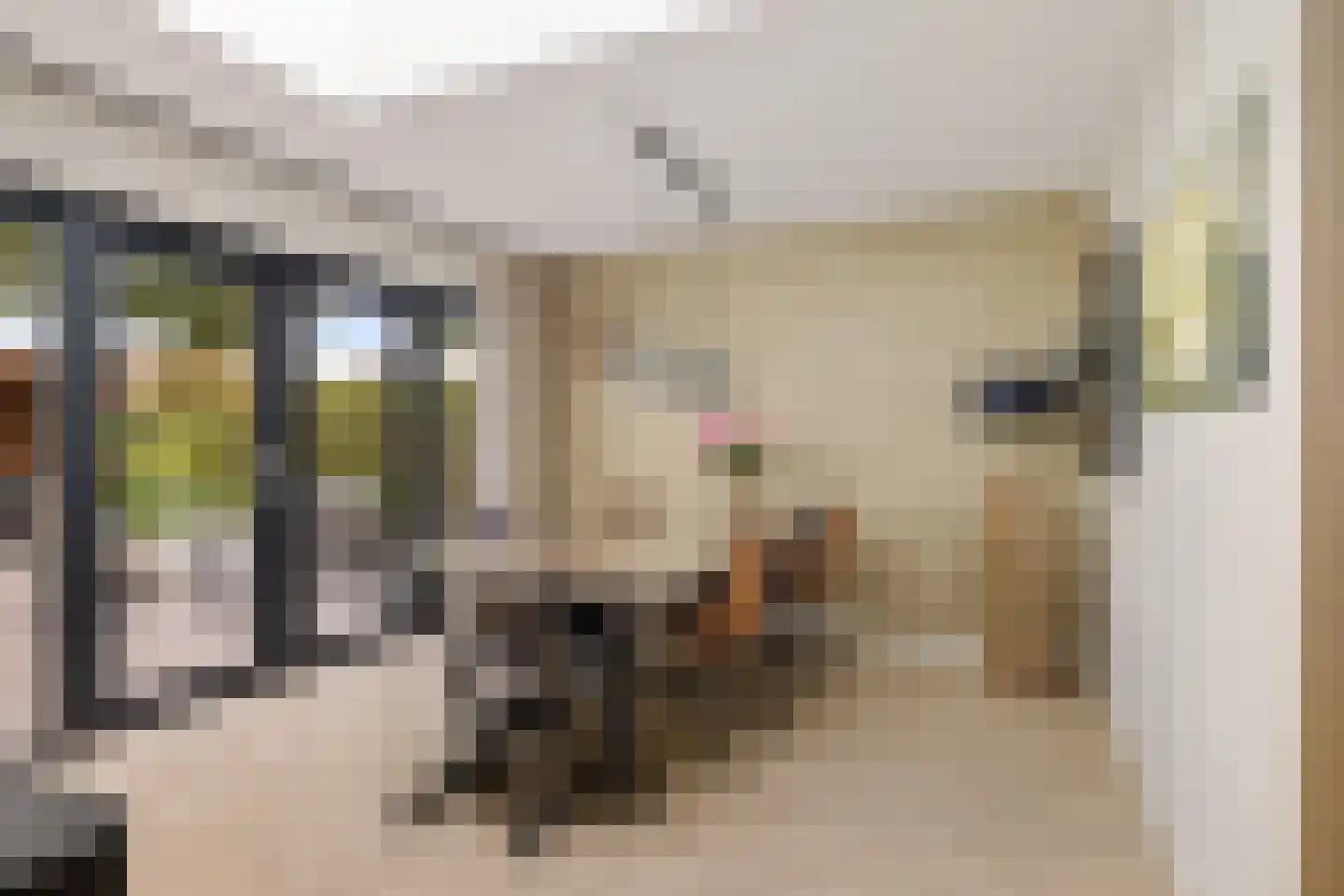 Krúslings 19 Ureterp thumbnail 19