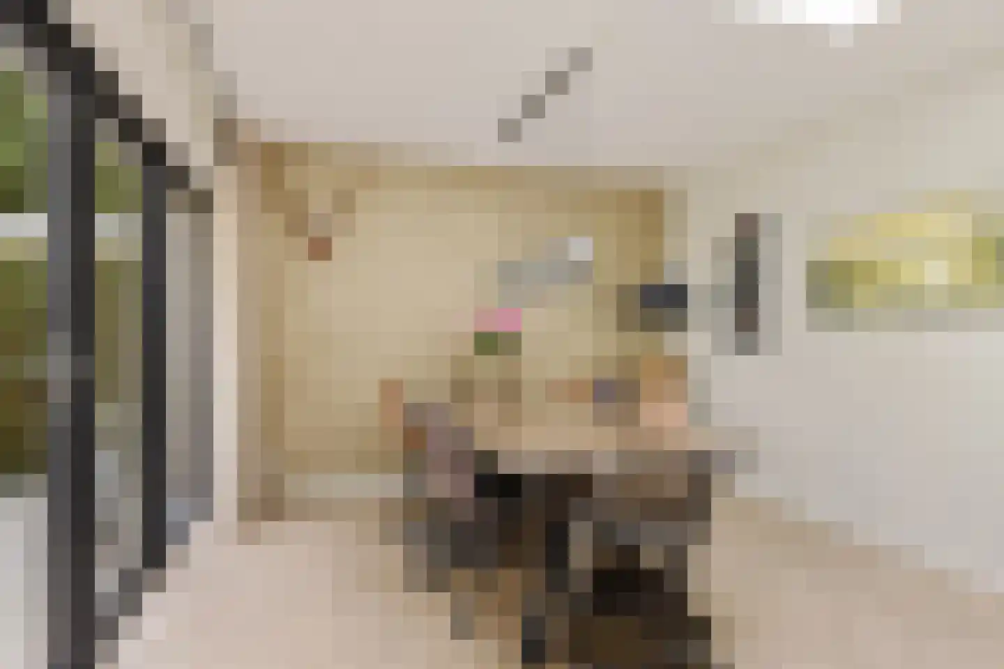 Krúslings 19 Ureterp thumbnail 20