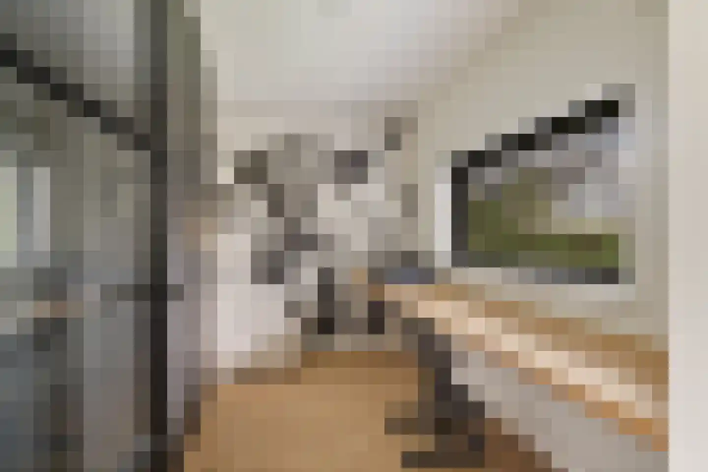 Krúslings 19 Ureterp thumbnail 21