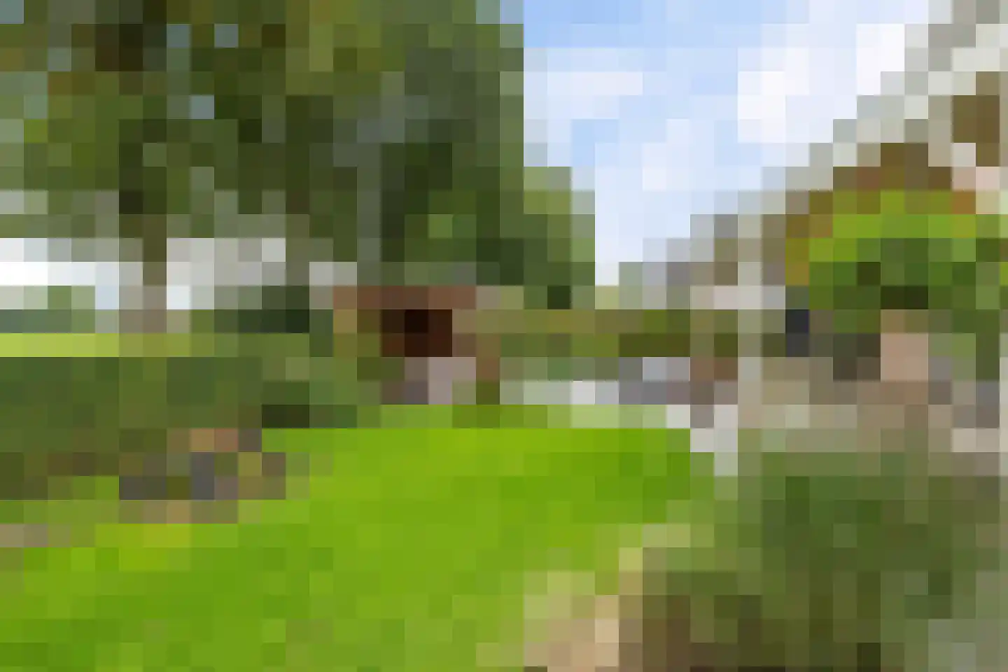 Krúslings 19 Ureterp thumbnail 45