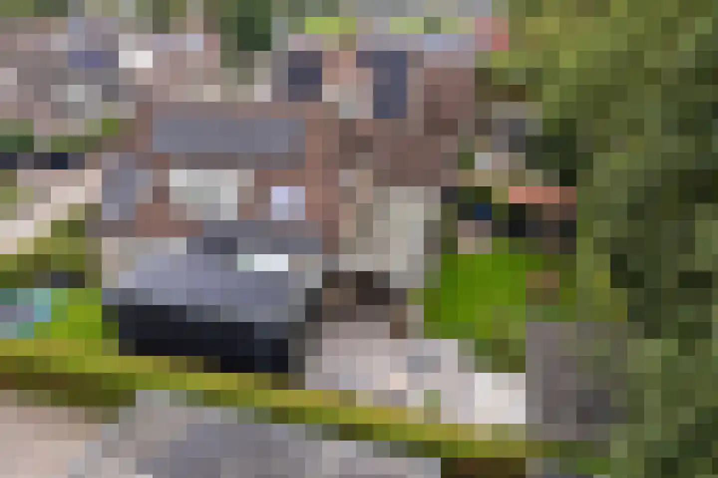 Krúslings 19 Ureterp thumbnail 52