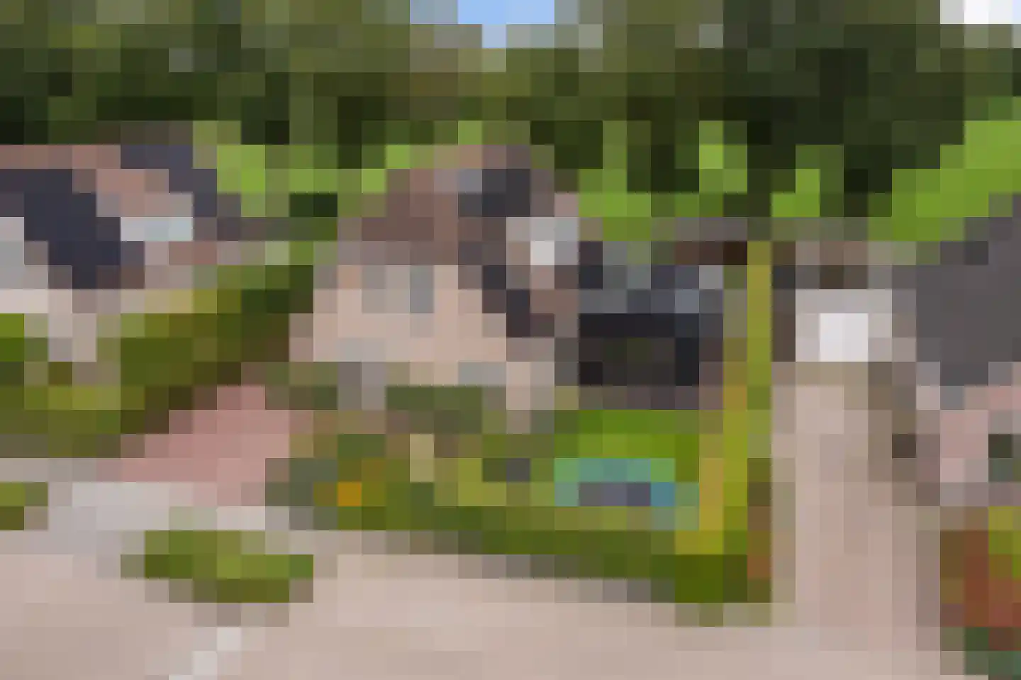 Krúslings 19 Ureterp thumbnail 56