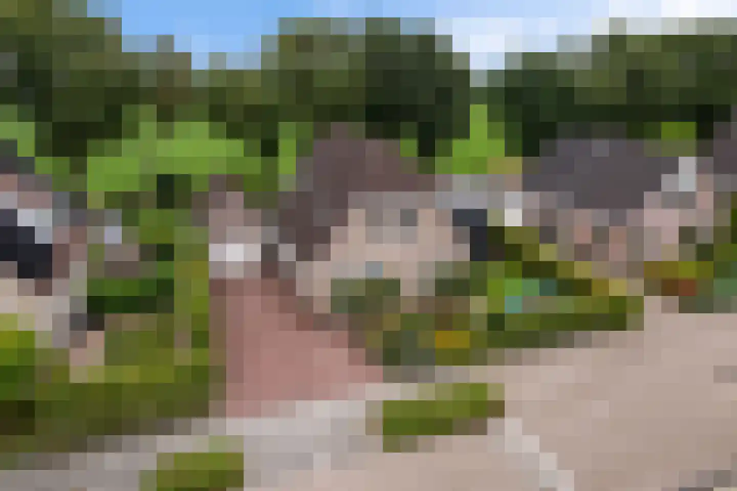Krúslings 19 Ureterp thumbnail 57