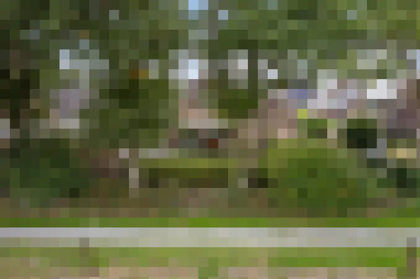 Krúslings 19 Ureterp thumbnail 58