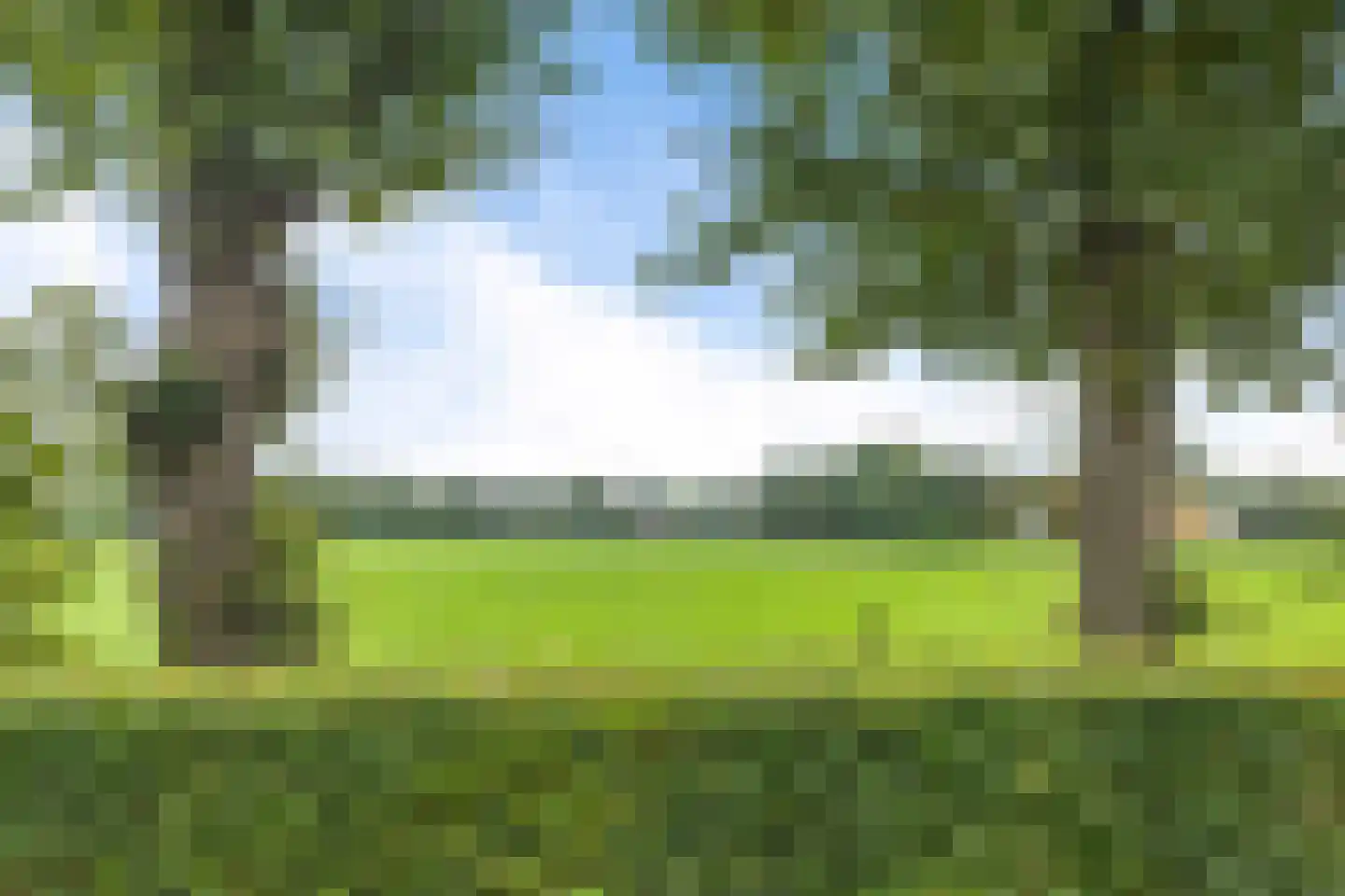 Krúslings 19 Ureterp thumbnail 59