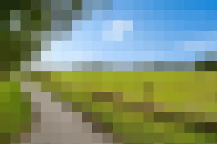 Krúslings 34 Ureterp thumbnail 46
