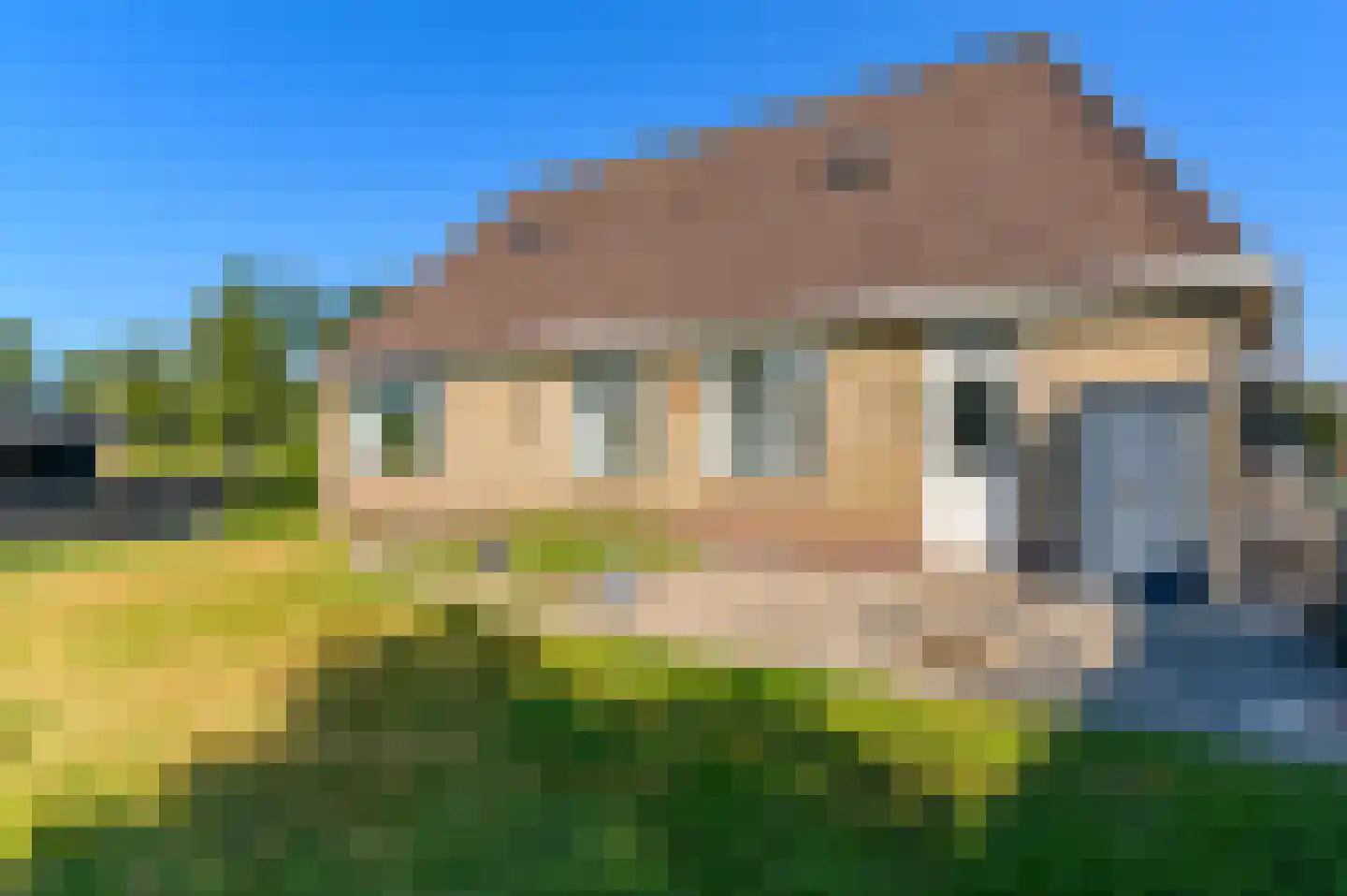 Krúspaed 9 Earnewâld thumbnail 10