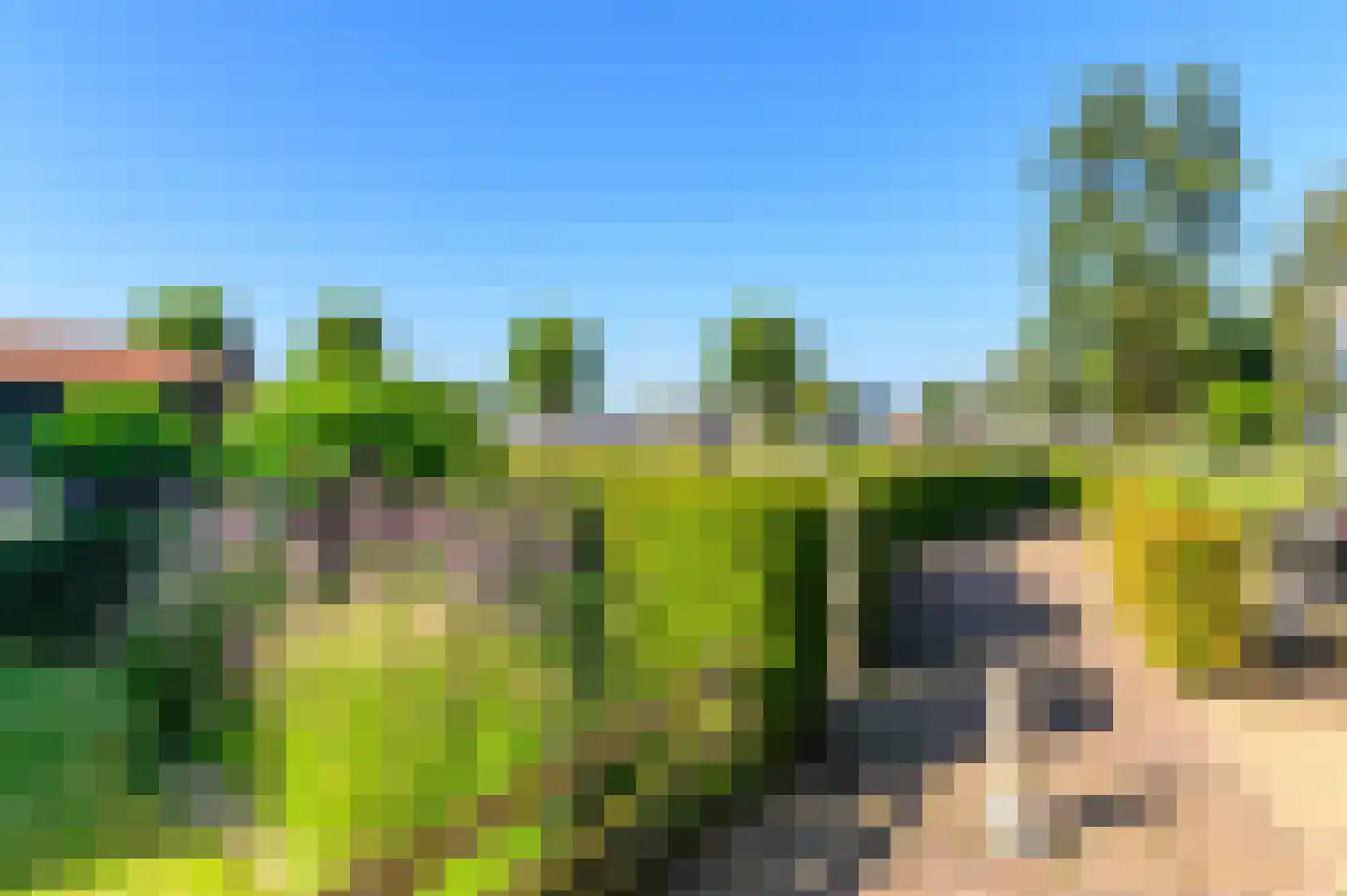 Krúspaed 9 Earnewâld thumbnail 14