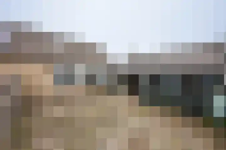 Krúswetter 12 Arum thumbnail 30