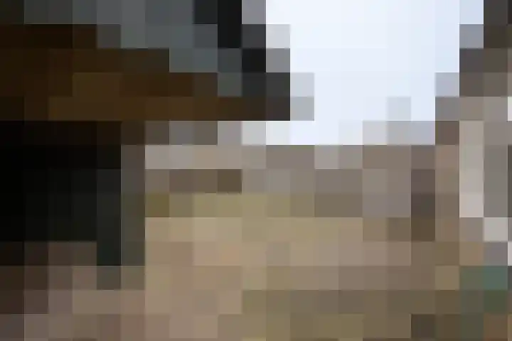 Krúswetter 12 Arum thumbnail 31