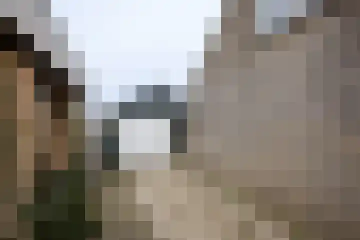 Krúswetter 12 Arum thumbnail 32