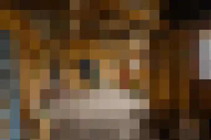Krúswetter 12 Arum thumbnail 33