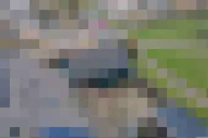 Krúswetter 12 Arum thumbnail 34