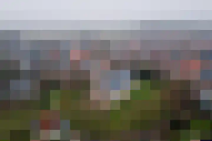 Krúswetter 12 Arum thumbnail 37