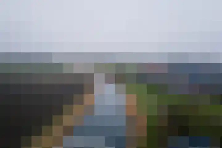 Krúswetter 12 Arum thumbnail 38