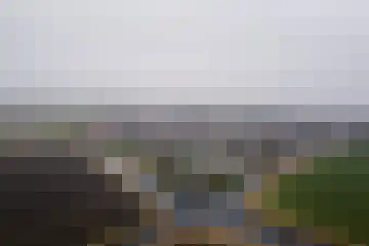 Krúswetter 12 Arum thumbnail 39