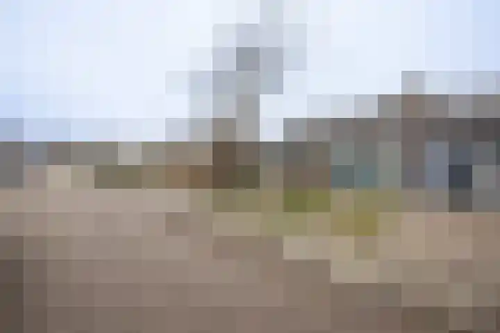 Krúswetter 12 Arum thumbnail 5