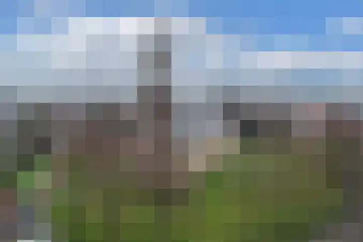 Krúswetter 5 Arum thumbnail 19