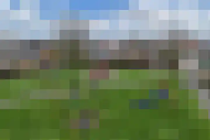 Krúswetter 5 Arum thumbnail 20
