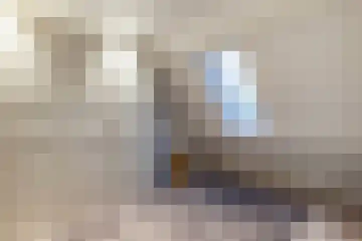 Krúswetter 5 Arum thumbnail 30