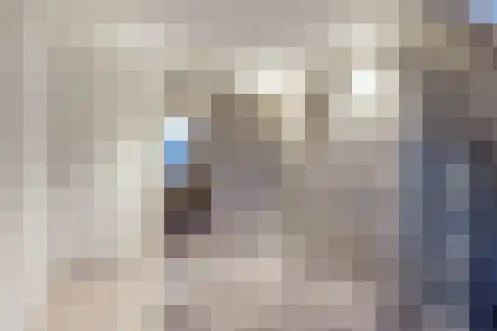 Krúswetter 5 Arum thumbnail 31