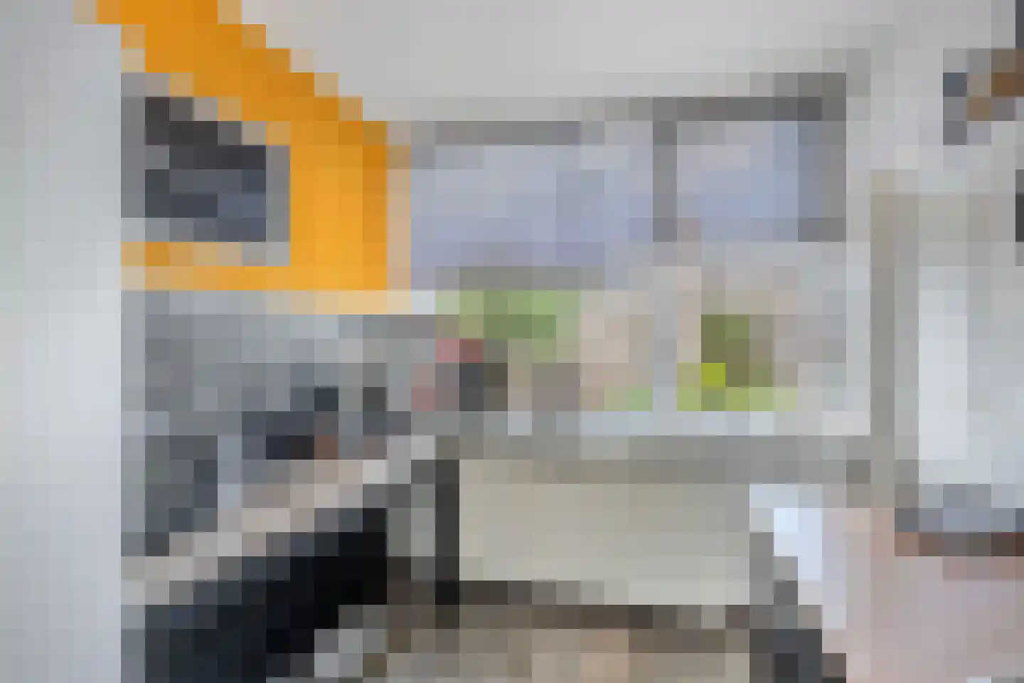 Krúswetter 6 Arum thumbnail 18