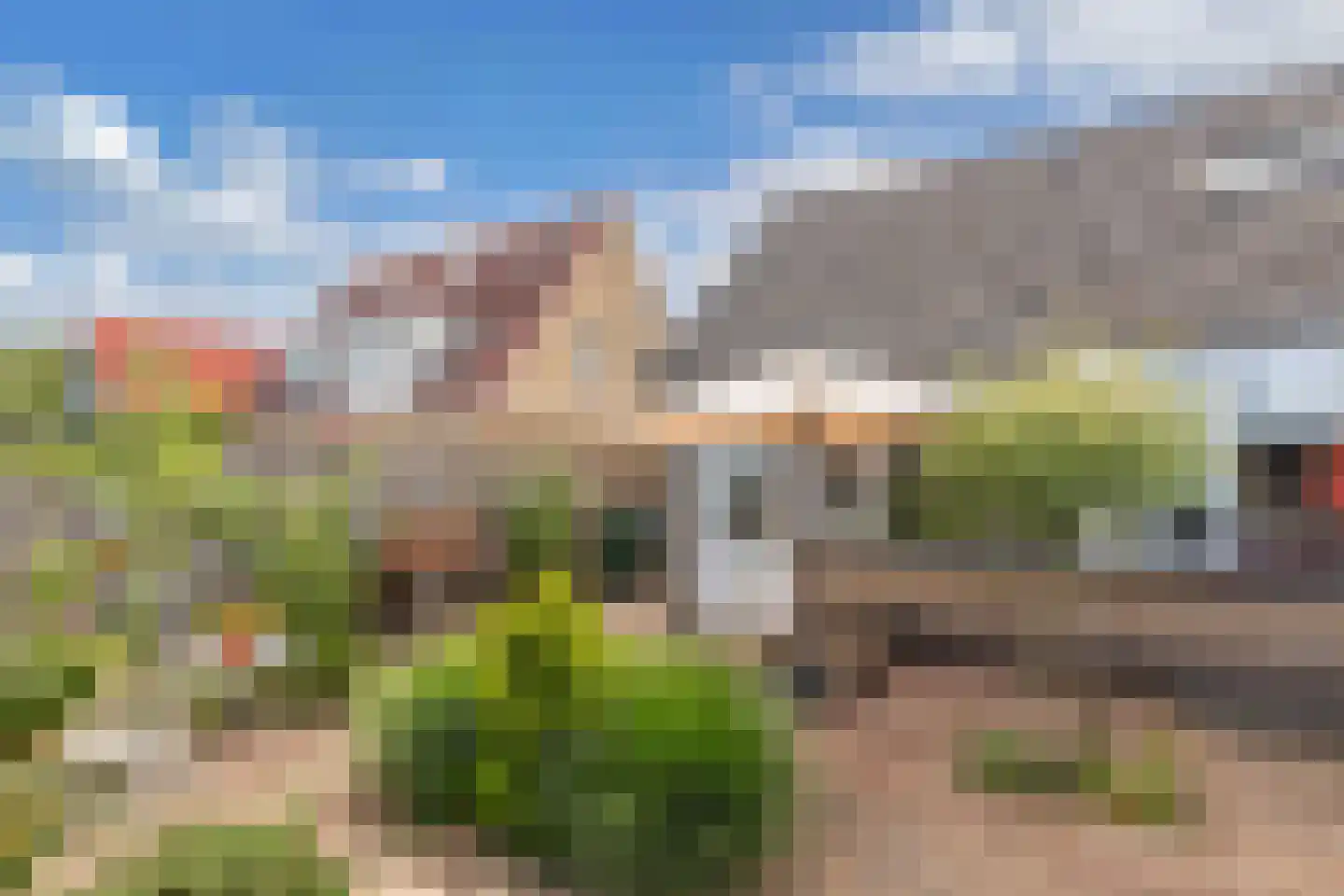 Krúswetter 6 Arum thumbnail 30