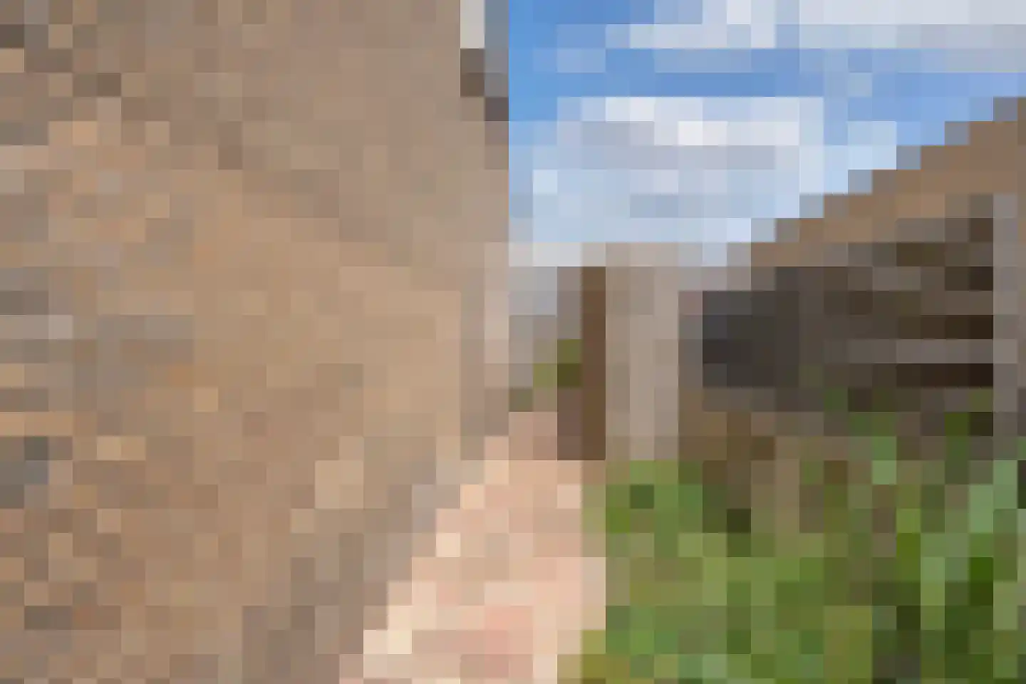 Krúswetter 6 Arum thumbnail 31