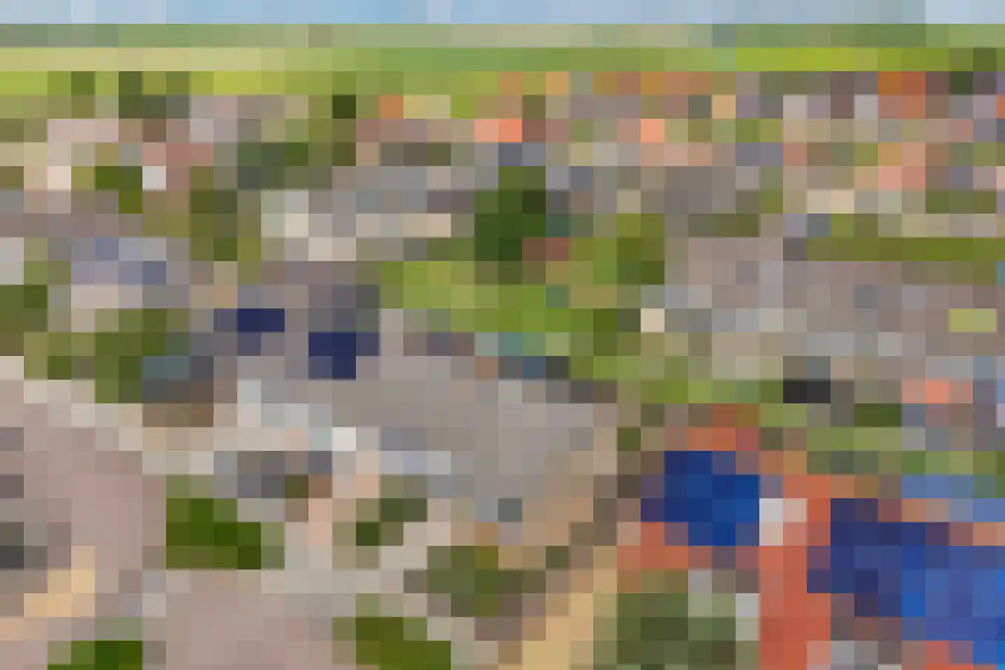 Krúswetter 6 Arum thumbnail 6
