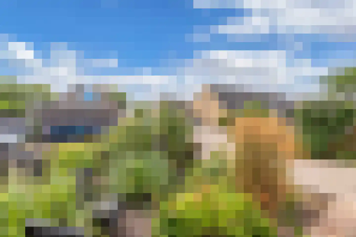 Krúswetter 6 Arum thumbnail 7