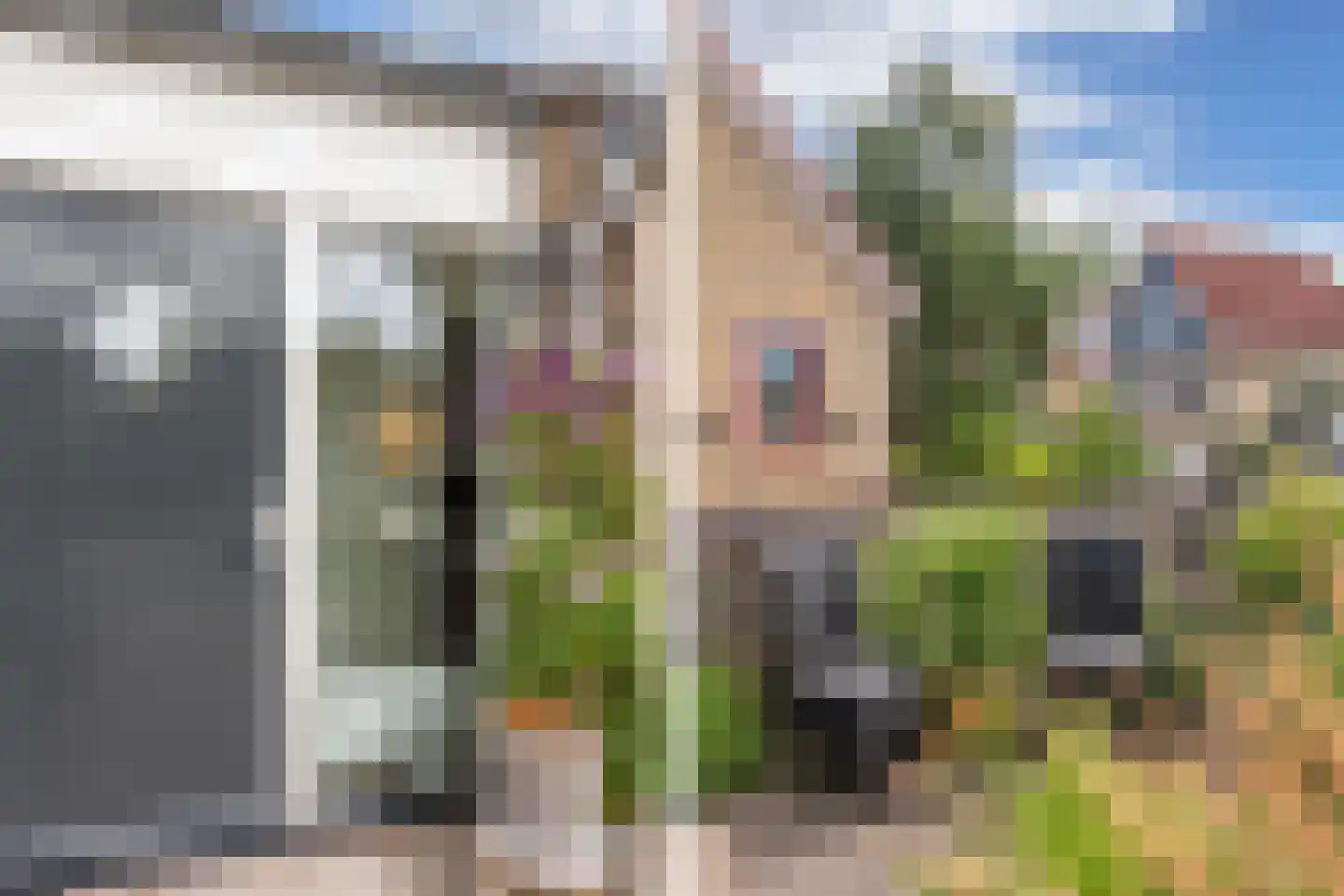 Krúswetter 6 Arum thumbnail 8