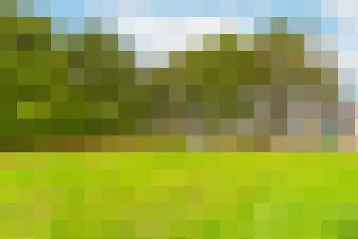 Kruyderlaan 136 Nieuwegein thumbnail 26
