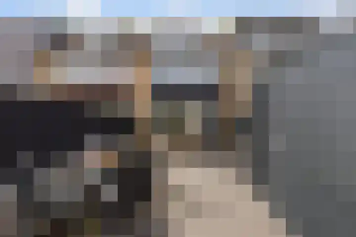 Kruyderlaan 142 Nieuwegein thumbnail 29
