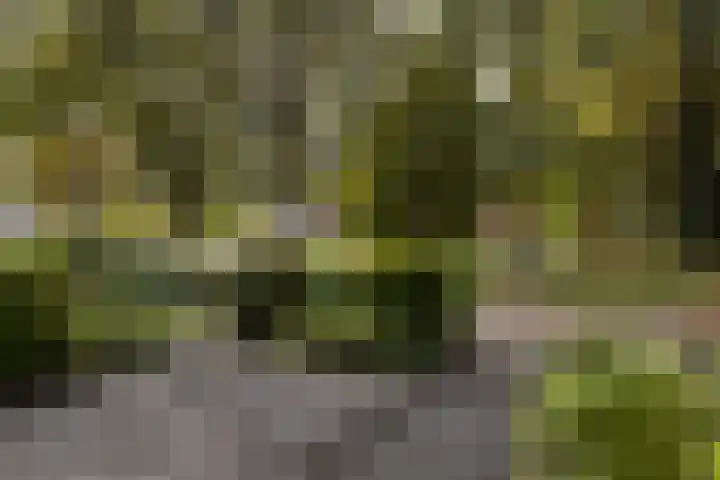 Kruyderlaan 142 Nieuwegein thumbnail 32
