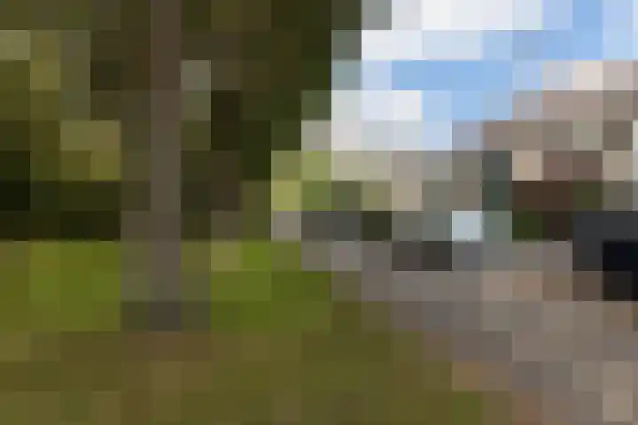 Kruyderlaan 142 Nieuwegein thumbnail 33