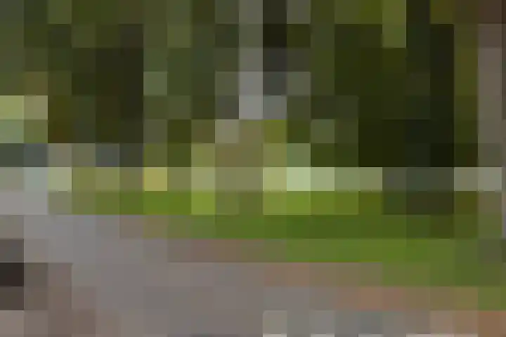 Kruyderlaan 142 Nieuwegein thumbnail 34