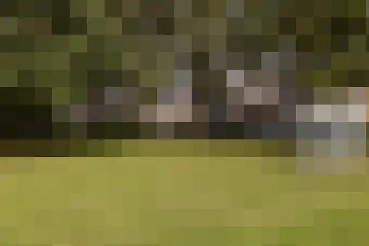 Kruyderlaan 142 Nieuwegein thumbnail 35