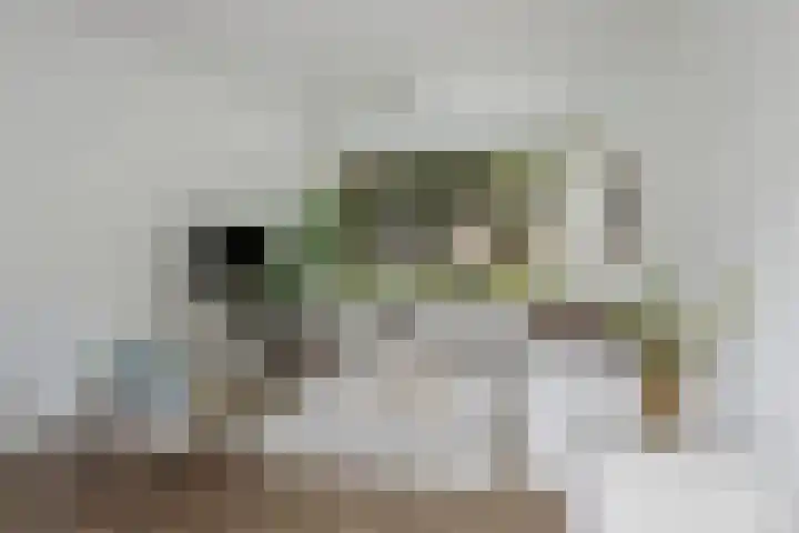 Kruyderlaan 142 Nieuwegein thumbnail 8