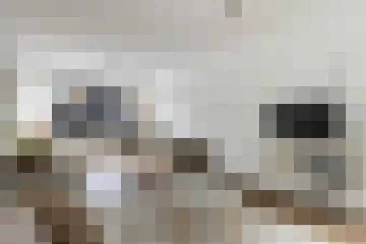 Kruyderlaan 142 Nieuwegein thumbnail 9