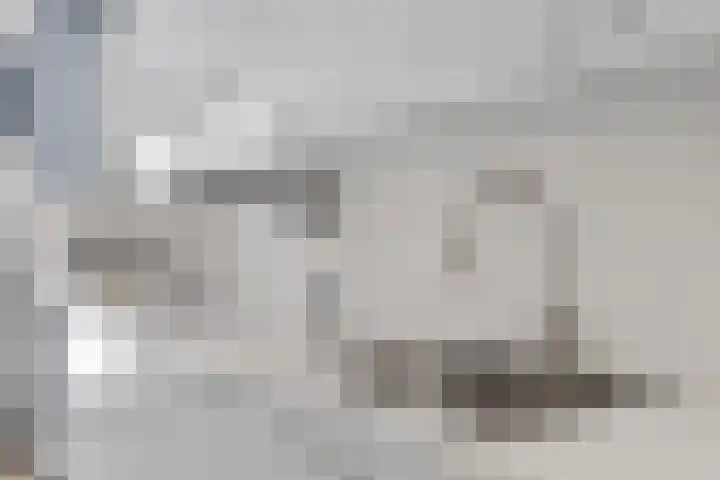 Kruyderlaan 146 Nieuwegein thumbnail 22
