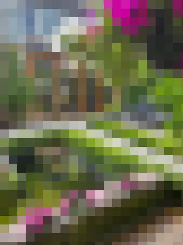 Kruyderlaan 146 Nieuwegein thumbnail 27