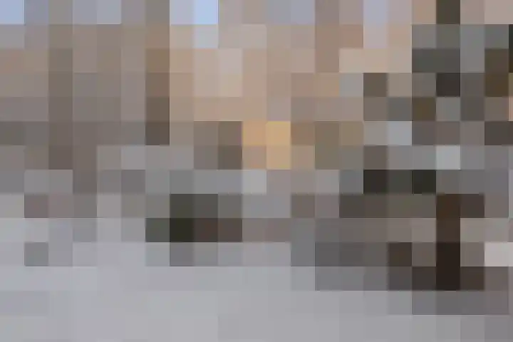 Kruyderlaan 146 Nieuwegein thumbnail 30