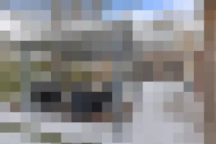 Kruyderlaan 146 Nieuwegein thumbnail 32
