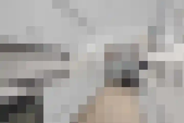 Kruyderlaan 146 Nieuwegein thumbnail 5
